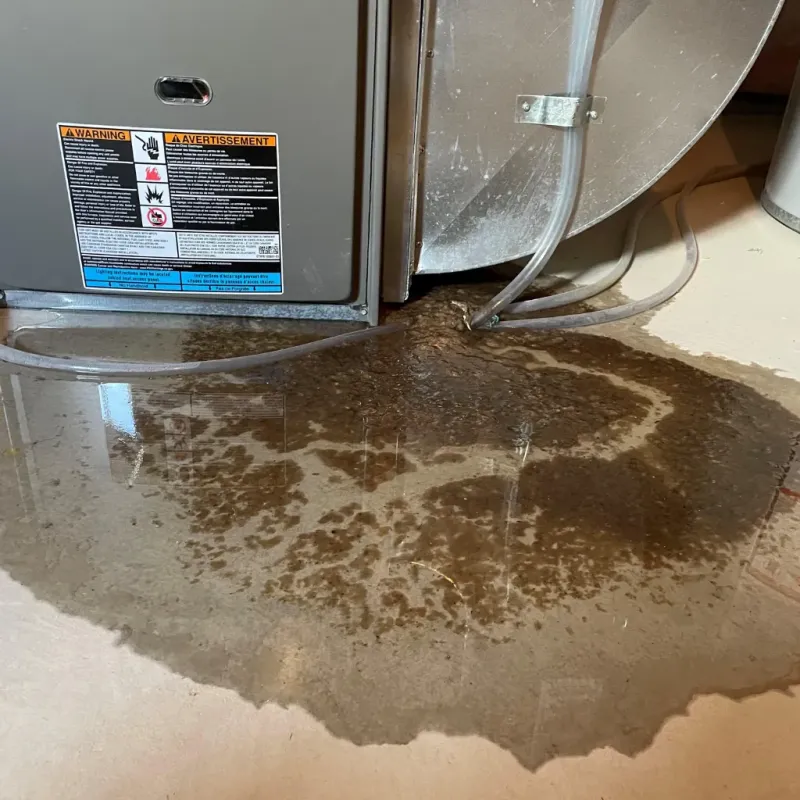 Appliance Leak Cleanup in Oceana County, MI